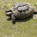 Gospodarstwo agroturystyczne Quinta Da Tapada