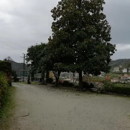 Quinta Da Tapada * Avô