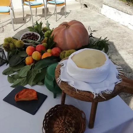 Quinta Da Tapada * Avô