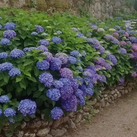 Farmház Quinta Da Tapada Avô