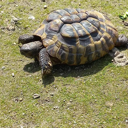 팜스테이 Quinta Da Tapada