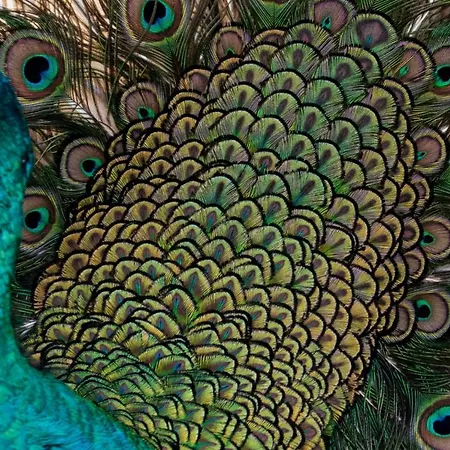 Quinta Da Tapada Farmház