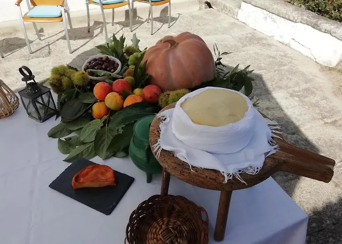 Quinta Da Tapada * Avô