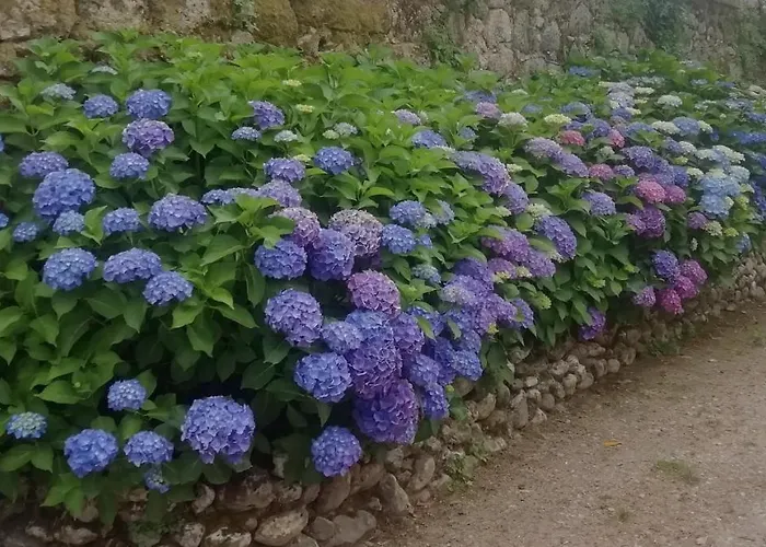 مزرعة للإقامة Quinta Da Tapada Avô