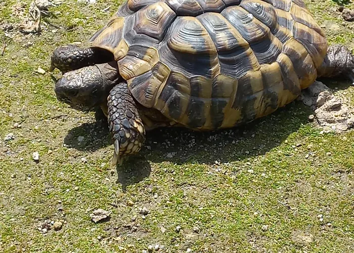 مزرعة للإقامة Quinta Da Tapada