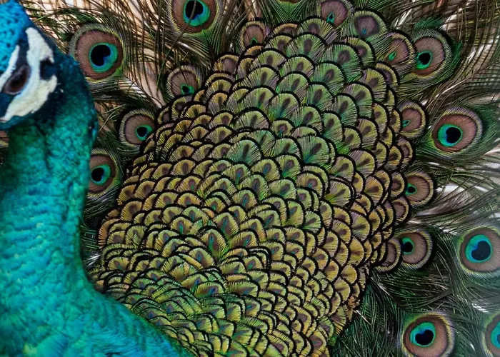 Quinta Da Tapada ファームステイ